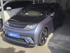 BYD Dolphin 401km Knight Edition - ფოტო 1