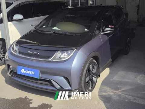 2023 BYD Dolphin 401km Knight Edition - ავტომობილი ჩინეთიდან
