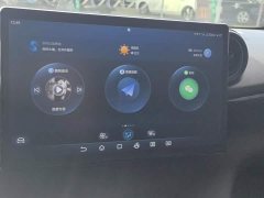 BYD Dolphin 401km Knight Edition - ფოტო 13