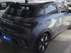 BYD Dolphin 401km Knight Edition - ფოტო 3