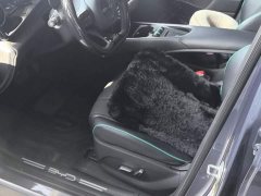 BYD Dolphin 401km Knight Edition - ფოტო 9