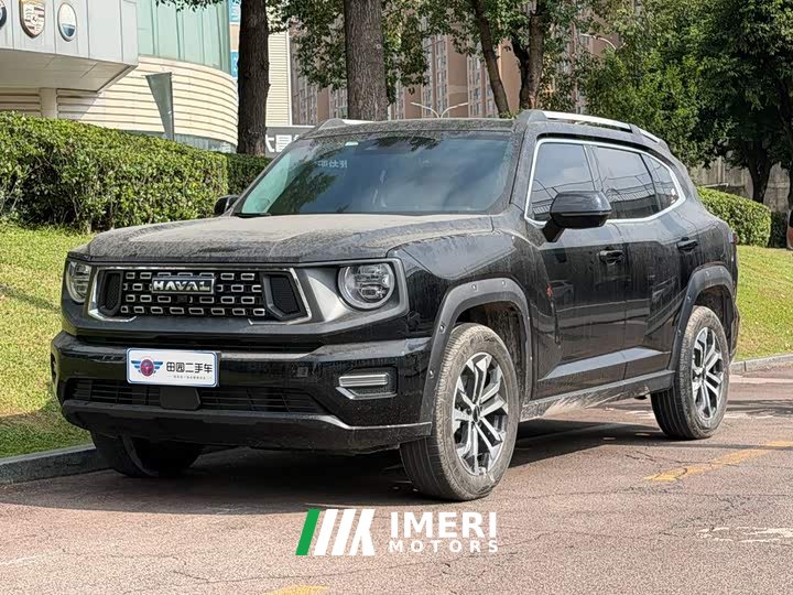 Haval Big Dog PLUS 2023 1.5T Two-Wheel Drive Trendy Wilderness Edition Plus - ავტომობილი ჩინეთიდან