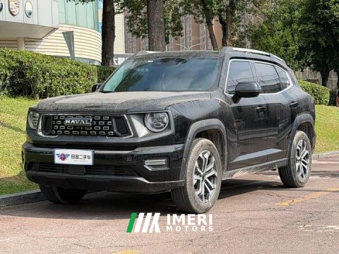 2024 Haval Big Dog PLUS 2023 1.5T Two-Wheel Drive Trendy Wilderness Edition Plus - ავტომობილი ჩინეთიდან