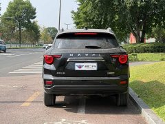 Haval Big Dog PLUS 2023 1.5T Two-Wheel Drive Trendy Wilderness Edition Plus - ფოტო 5
