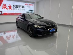 BMW 3 Series 330Li M Sport Night Edition Package - ფოტო 3