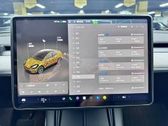 Tesla Model Y 2024 Rear-Wheel Drive - ფოტო 13