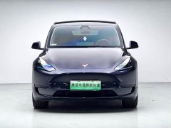 Tesla Model Y 2024 Rear-Wheel Drive - ფოტო 2