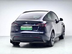 Tesla Model Y 2024 Rear-Wheel Drive - ფოტო 6