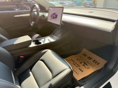 Tesla Model 3 Rear-Wheel Drive - ფოტო 16
