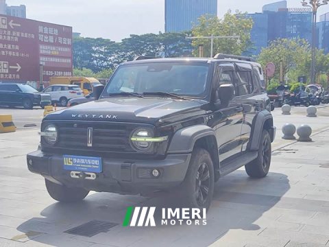 2021 Tank 300 Off-Road Edition 2.0T Conqueror - ავტომობილი ჩინეთიდან