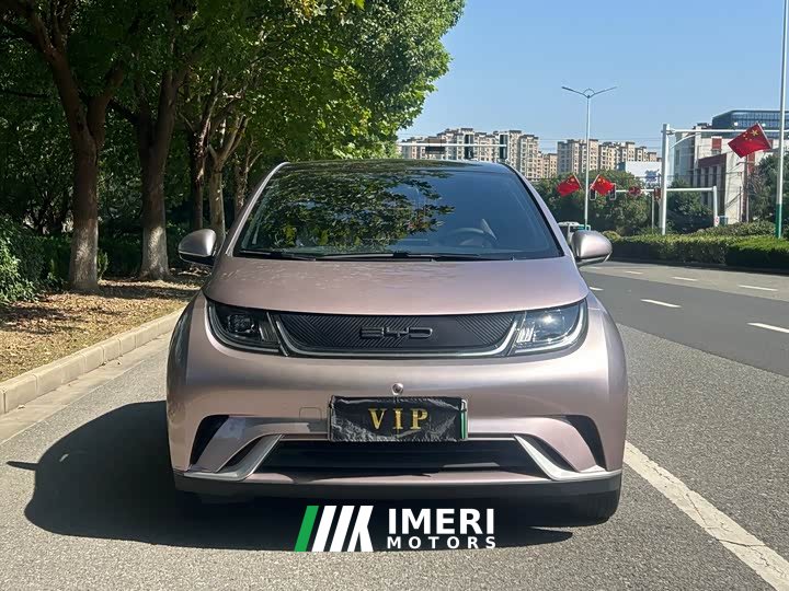 BYD Dolphin 405km Fashion Edition - ავტომობილი ჩინეთიდან