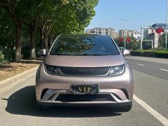 BYD Dolphin 405km Fashion Edition - ფოტო 1