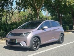BYD Dolphin 405km Fashion Edition - ფოტო 2