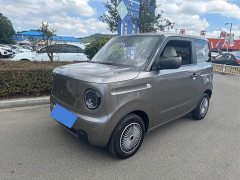 Geely Panda mini 200km Longteng PRO Edition - ფოტო 2