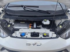 BYD Seagull Glory Edition 405km Flying Edition - ფოტო 10