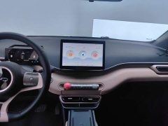 BYD Seagull Glory Edition 405km Flying Edition - ფოტო 13