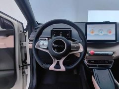 BYD Seagull Glory Edition 405km Flying Edition - ფოტო 15