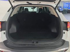 Kia Lion Pibo Tuojie 2023 2.0T Two-Wheel Drive Flagship - ფოტო 4