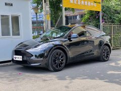 Tesla Model Y Long Range All-Wheel Drive 3D7 - ფოტო 1