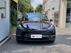 Tesla Model Y Long Range All-Wheel Drive 3D7 - ფოტო 2