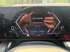 BMW 5 Series 530Li Luxury M Sport Package - ფოტო 14
