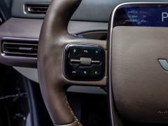 Li Auto Li Xiang MEGA Ultra - ფოტო 10