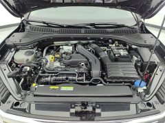 Volkswagen Sagitar 300TSI DSG Excellence Edition - ფოტო 10
