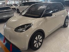 Wuling Binguo 2023 333km Joy Edition - ფოტო 1