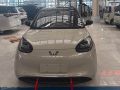 Wuling Binguo 2023 333km Joy Edition - ფოტო 2