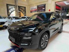Jetour Jietu Dasheng 1.5T DCT Star Radiance PRO - ფოტო 1