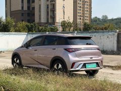 BYD Dolphin 420km Fashion Edition - фото 8