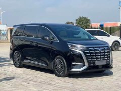Denza BYD Denza D9 2022 DM-i 1040 Premium - ფოტო 3