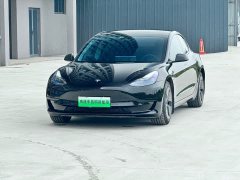 Tesla Model 3 Rear-Wheel Drive - ფოტო 1