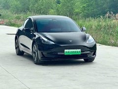 Tesla Model 3 Rear-Wheel Drive - ფოტო 3