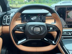 Geely Boyue L Fourth Generation 1.5TD DCT Jinxiu - ფოტო 13