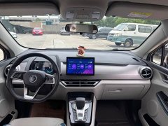 BYD Yuan Pro 401KM Luxury - ფოტო 12