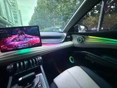 BYD Yuan Plus Champion Edition 510KM Transcendent - ფოტო 10