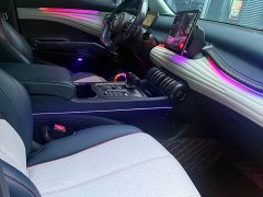 BYD Yuan Plus Champion Edition 510KM Transcendent - ფოტო 11