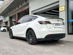Tesla Model Y Performance All-Wheel Drive - ფოტო 3