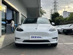 Tesla Model Y Performance All-Wheel Drive - ფოტო 4