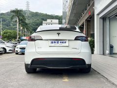 Tesla Model Y Performance All-Wheel Drive - ფოტო 5