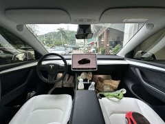Tesla Model Y Performance All-Wheel Drive - ფოტო 6
