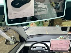 Tesla Model Y Performance All-Wheel Drive - ფოტო 9