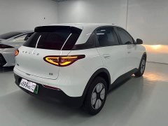 Geely Xing Yuan 310km Youth Edition - ფოტო 14
