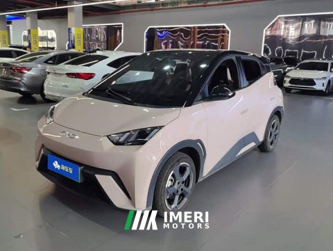2024 BYD Seagull Glory Edition 405km Flying Edition - ავტომობილი ჩინეთიდან
