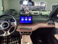 BYD Seagull Glory Edition 405km Flying Edition - ფოტო 13