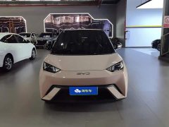 BYD Seagull Glory Edition 405km Flying Edition - ფოტო 2