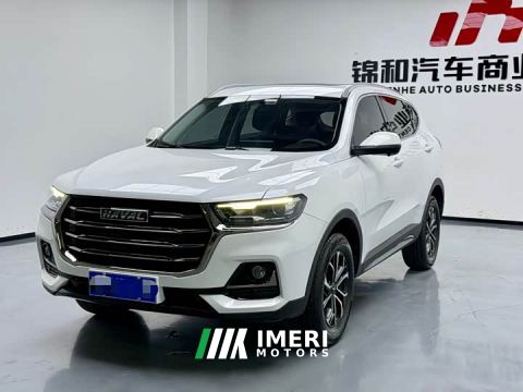 2023 Haval H6 National Trend Edition 1.5T Automatic Urban Version