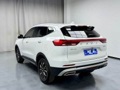 Haval H6 National Trend Edition 1.5T Automatic Urban Version - ფოტო 13