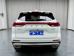 Haval H6 National Trend Edition 1.5T Automatic Urban Version - ფოტო 14